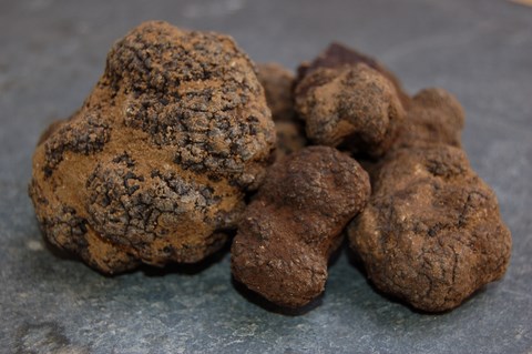 winecompetitionsandguides